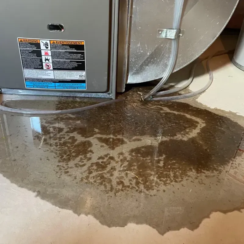 Appliance Leak Cleanup in Edgecombe County, NC